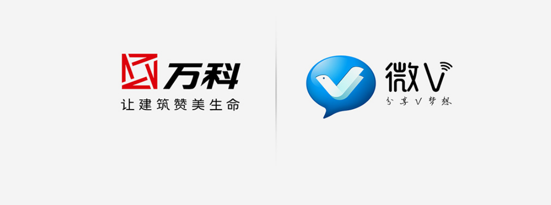 万科企业徽V品牌形象设计