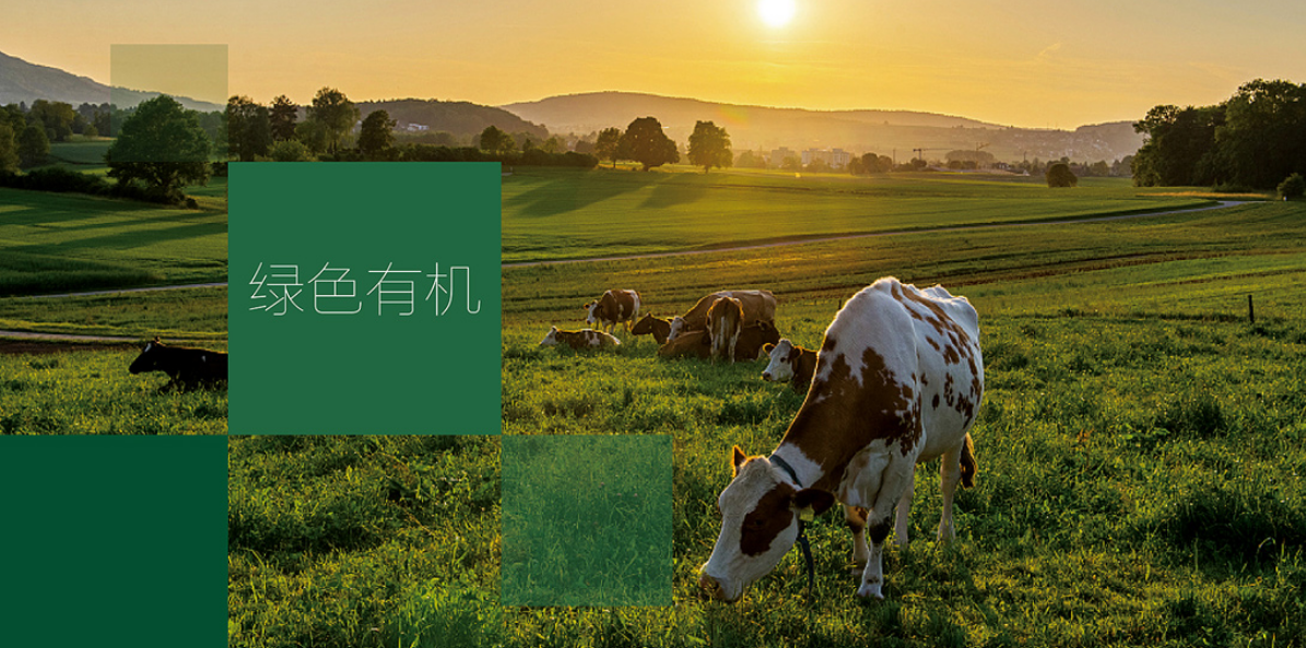 深圳广告设计公司