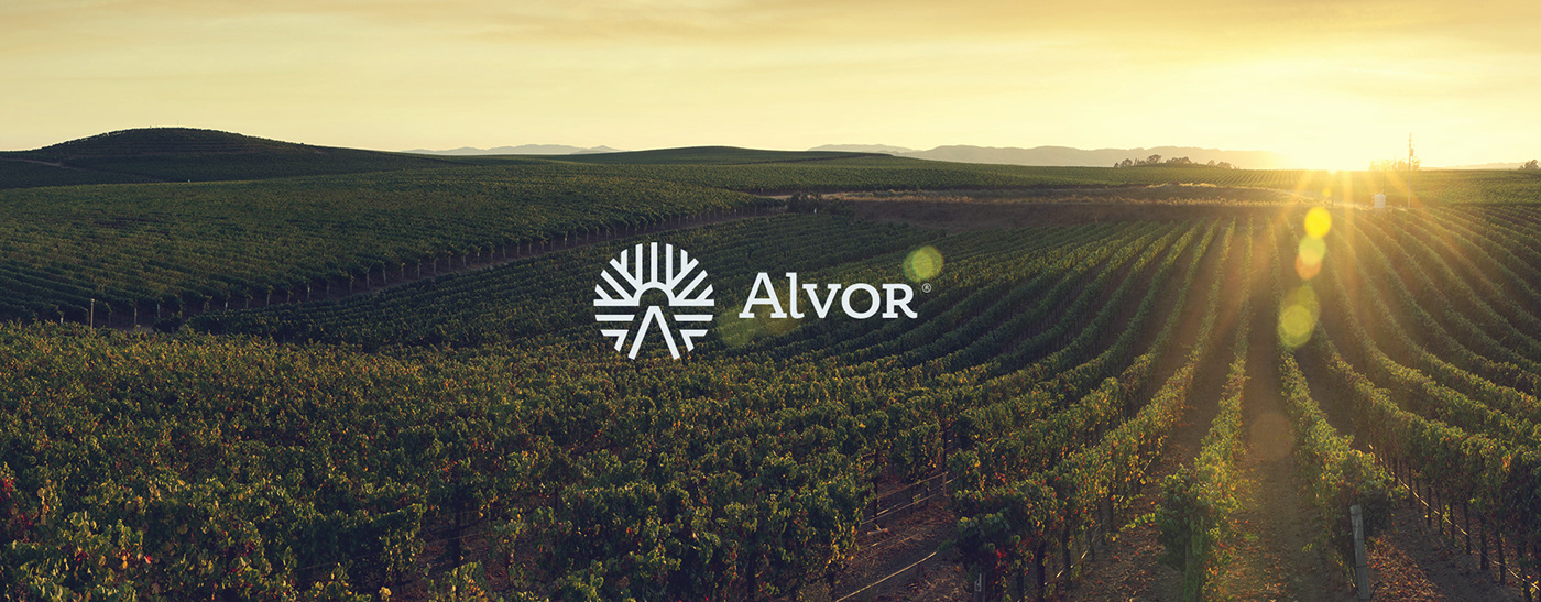 Alvor 品牌标志
