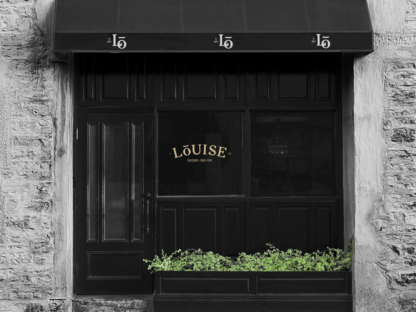 Taverne LouiseVI形象赏析