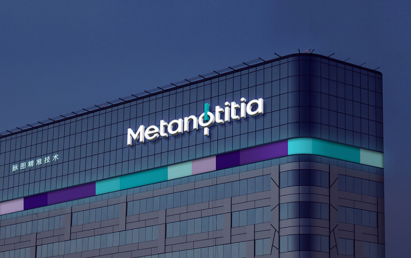 Metanotitia脉图