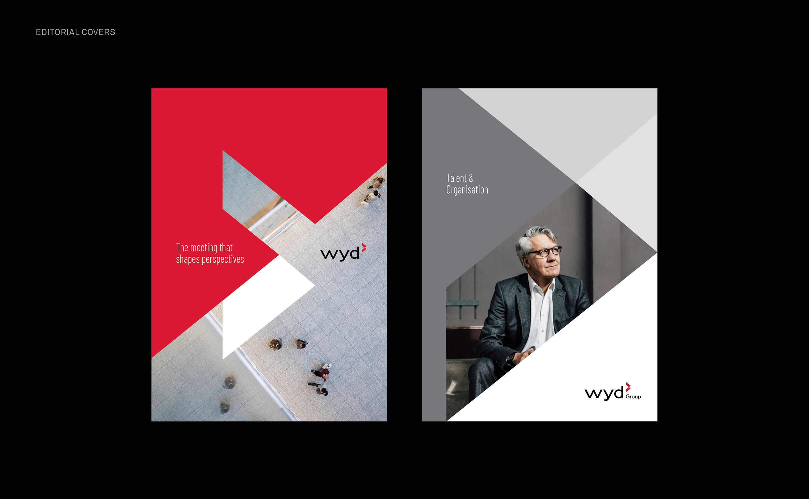 Wyd集团LOGO设计