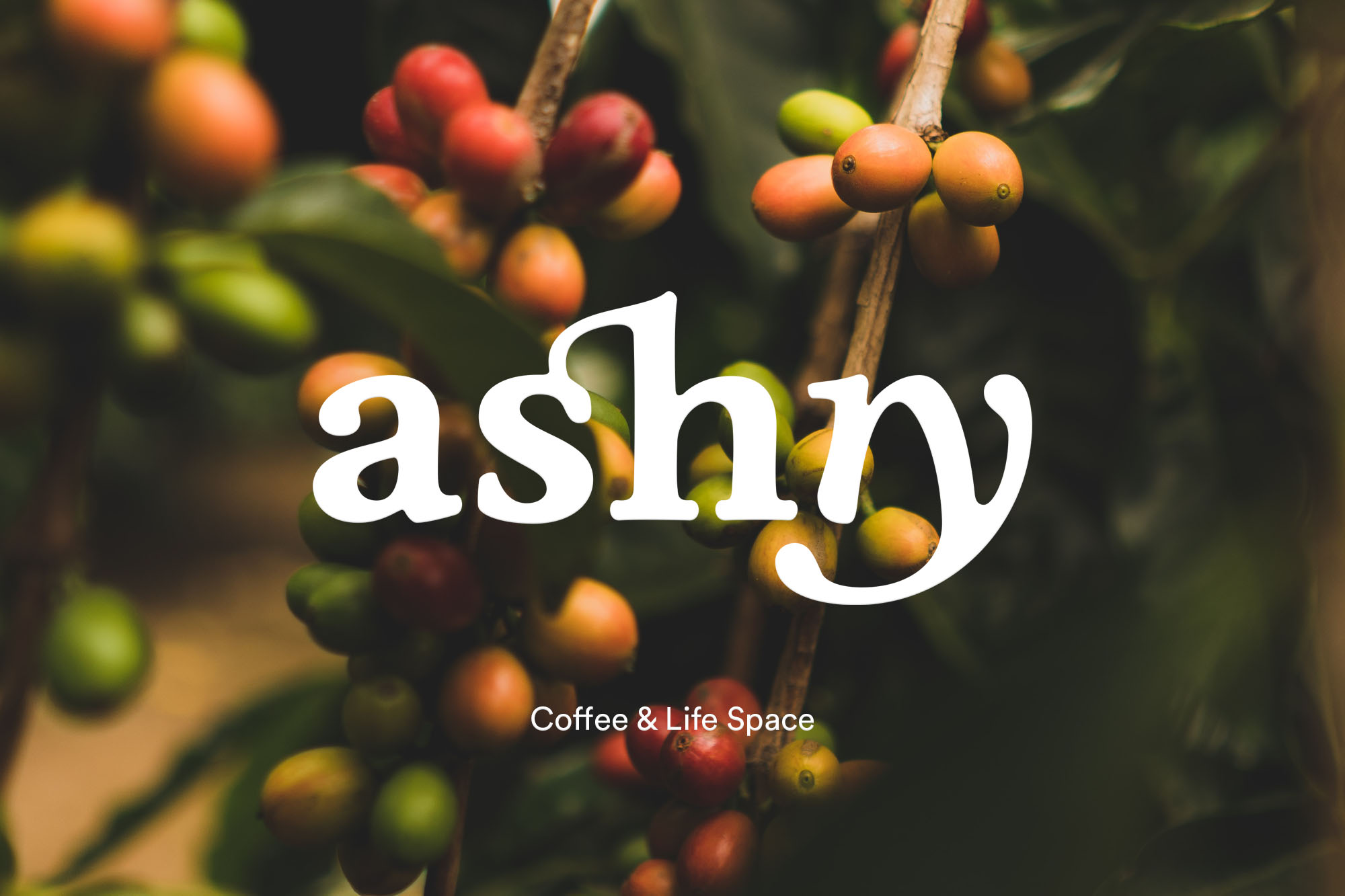Ashtry Coffee 咖啡LOGO