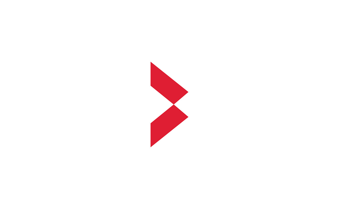 Wyd 集团品牌LOGO