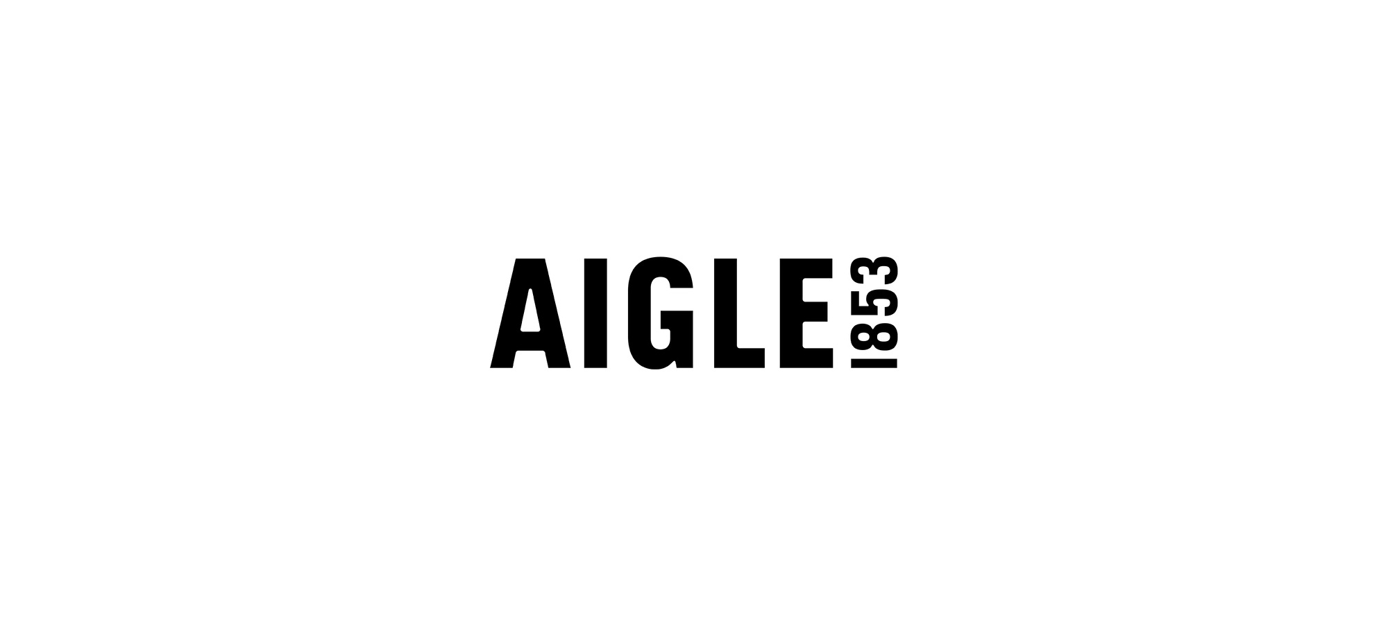 Aigle标志动画
